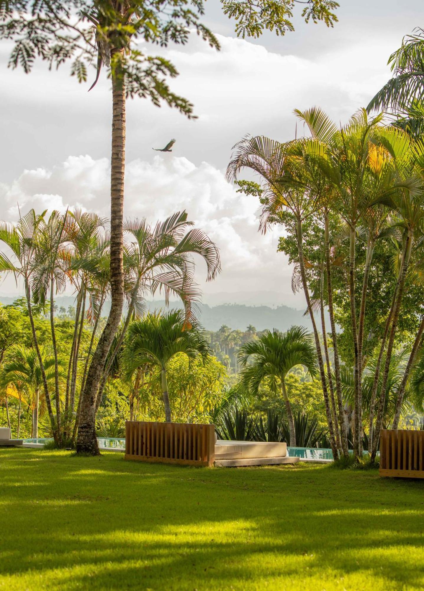 Oya - Wellness Eco Resort & Retreat Jamao al Norte ภายนอก รูปภาพ